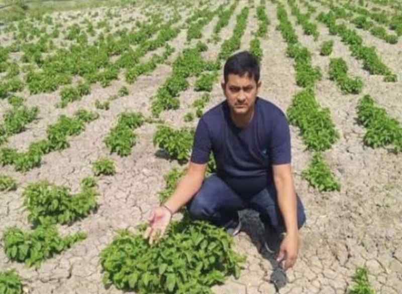 హాప్​షూట్స్​ – కేజీ అక్షరాల లక్ష రూపాయలు!!