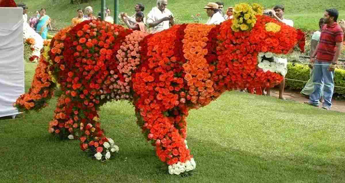 30 వేల పూల సోయగాలు.. ఆన్ లైన్ లో ఉటీ ఫ్లవర్ షో