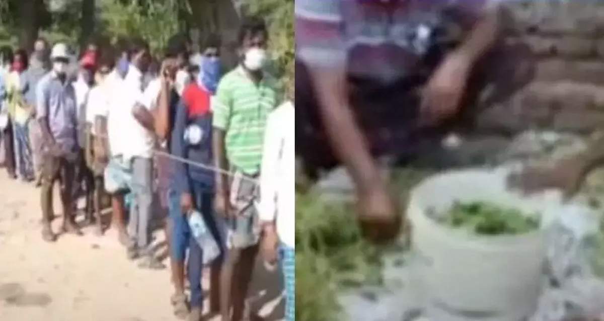 కరోనాకు నెల్లూరు మందు పనిచేస్తుందా.. పరీక్షల్లో ఏం తేలబోతోంది