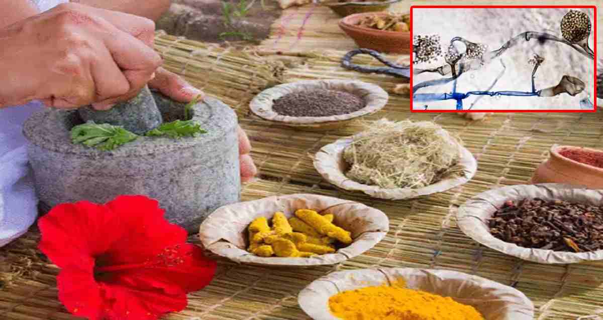 బిగ్ బ్రేకింగ్.. బ్లాక్ ఫంగస్ కు ఆయుర్వేద మందు