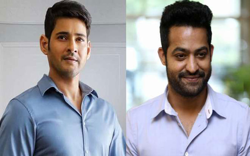 త్వరగా కోలుకోవాలి బ్రదర్.. ఎన్టీఆర్ పై మహేష్ ట్వీట్