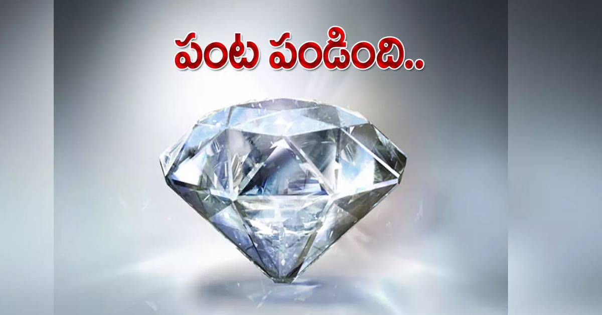 పొలంలో మెరుపు మెరిసింది.. క్షణాల్లో కోటీశ్వరుడైన రైతు