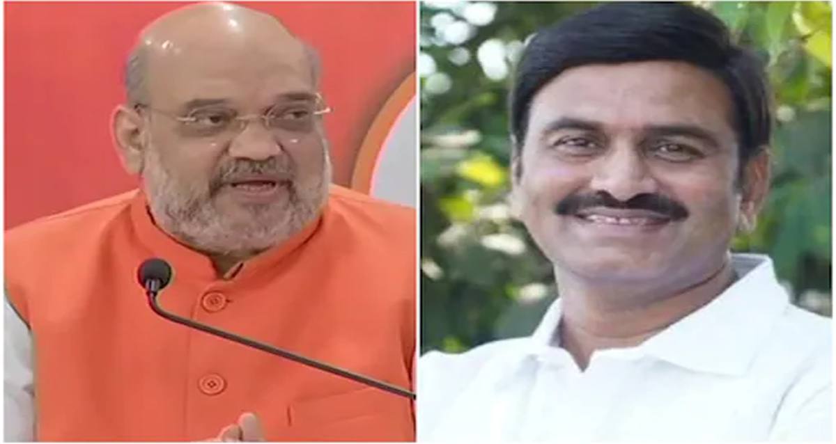 ఢిల్లీలో చక్రం తిప్పిన రఘురామ కృష్ణరాజు కొడుకు! రంగంలోకి అమిత్ షా!