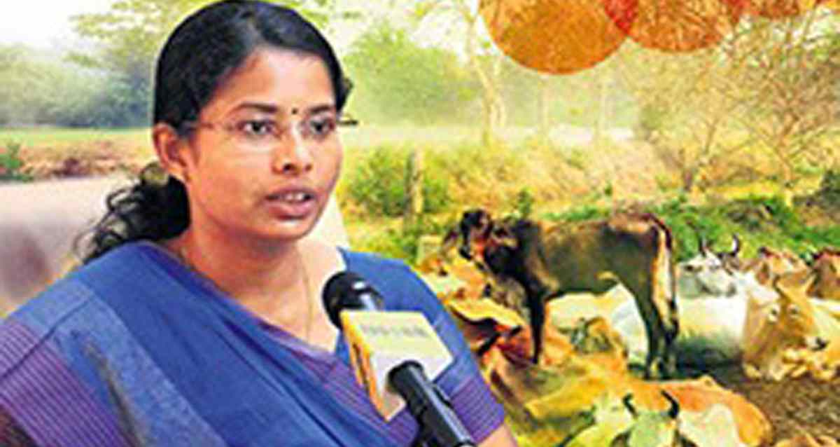 ఒకప్పుడు పశువుల కాపరి!ఇప్పుడు ఓ జిల్లాకి కలెక్టర్! ఈమె లైఫ్ స్టోరీ తెలిస్తే సెల్యూట్ చేస్తారు!
