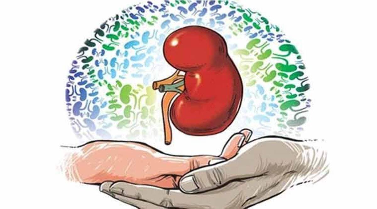 అన్నిదానాల్లో కన్నా మిన్న అవయవదానం!..