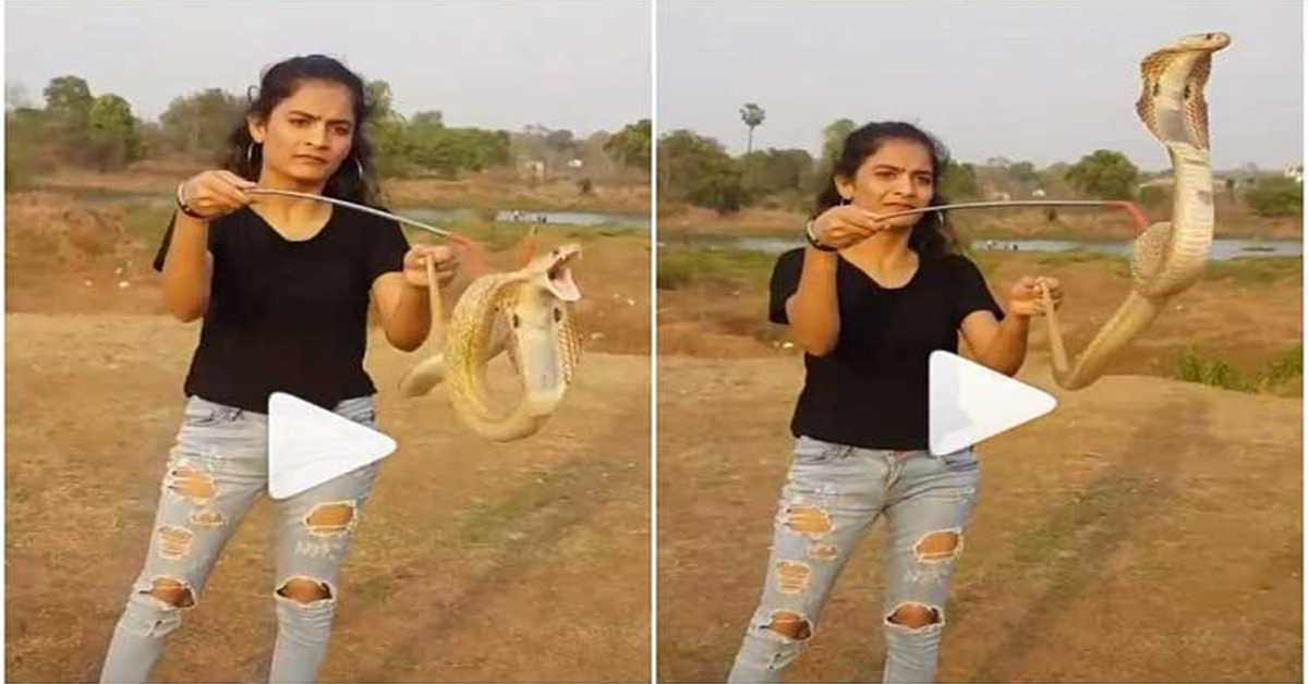 తాచుపాముతో ఆటలు! ఈ యువతి ధైర్యానికి సెల్యూట్ చేస్తారు!