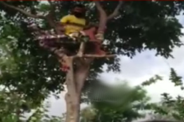 కరోనా రోగుల పాట్లు.. ఒకరు చెట్టుపై, మరొకరు బాత్ రూంలో