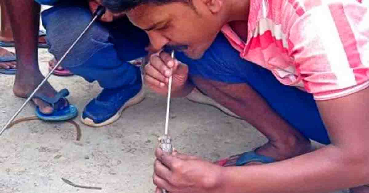 పాము నోట్లో నోరు పెట్టి ప్రాణాల్ని కాపాడిన యువకుడి సాహసం…