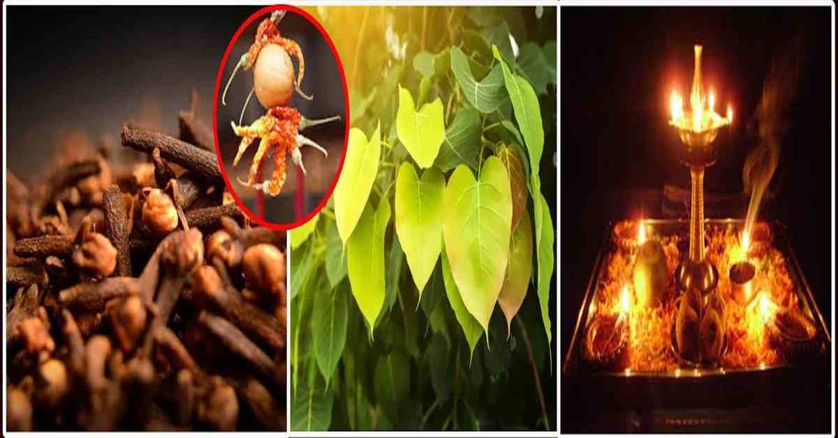 ఈ పనులు చేస్తే మీపై నరదిష్టి పని చేయదు!