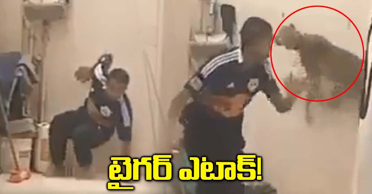 ఒక్క సెకన్ లో అంతా అయిపోయింది! గుండెలు అదిరిపోయే వీడియో!