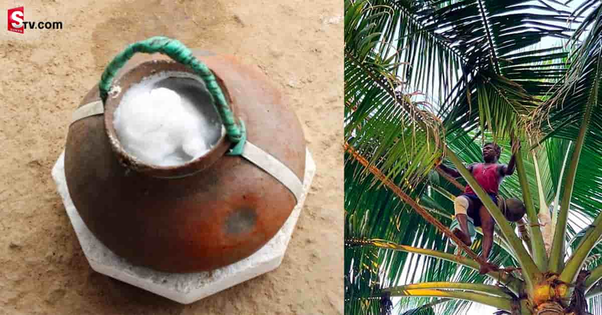 కొబ్బరి కల్లు – అక్కడ గుడిలో తీర్ధం?!.