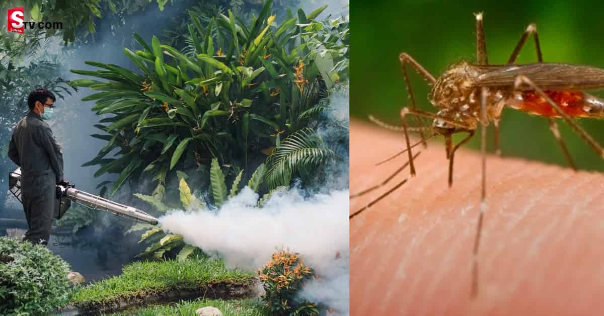 దోమలకి పెట్టిన పొగ – వారిపై ‘పగ’బట్టిందా!..