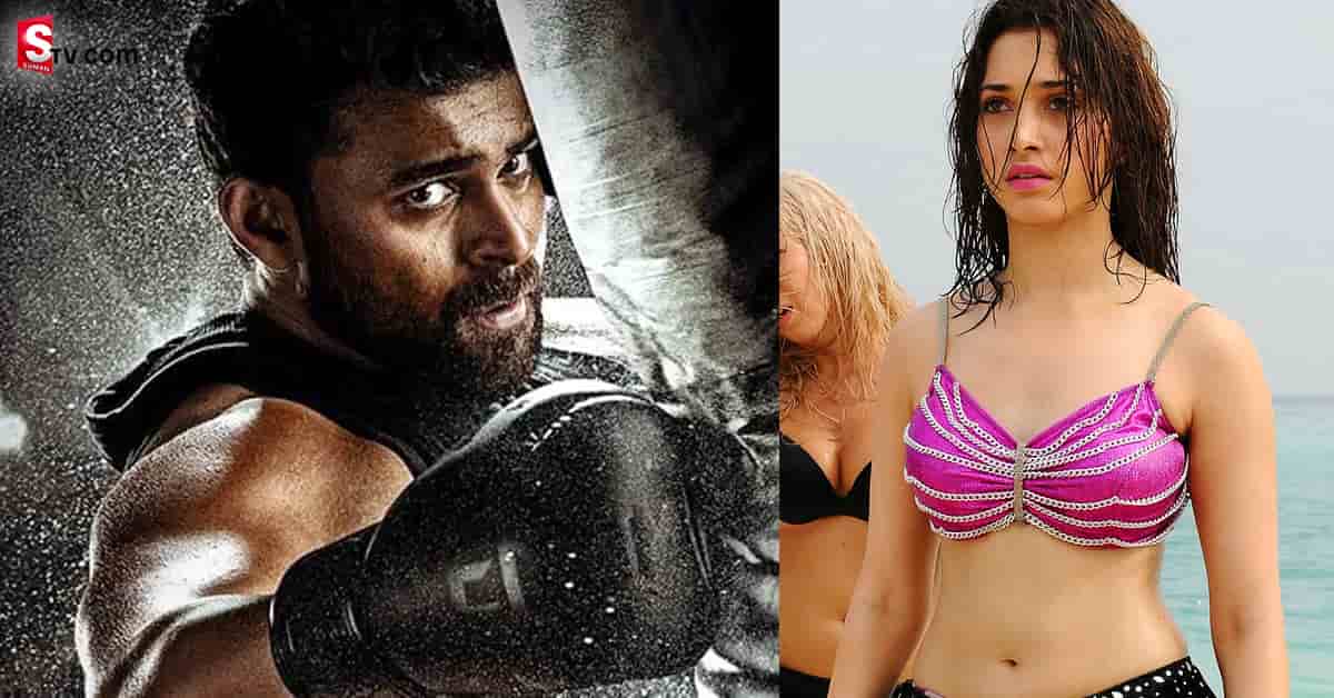 ‘గని’ లో అడుగుపెట్టనున్న తమన్నా
