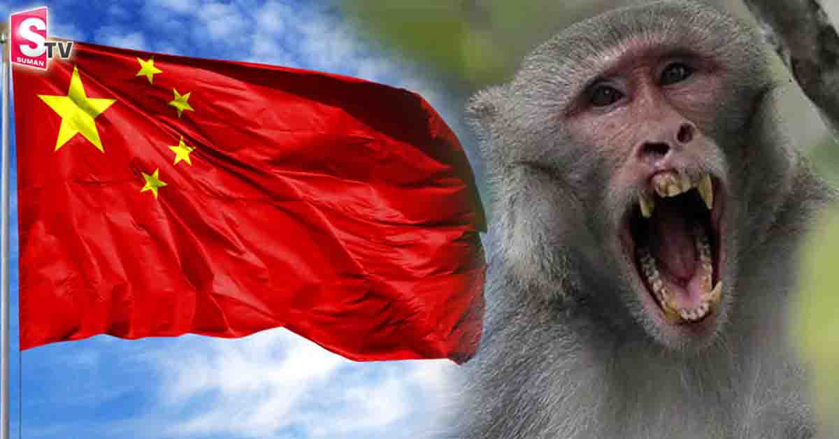 చైనాలో మంకీ బి వైరస్! కరోనా కన్నా ప్రమాదకరం!