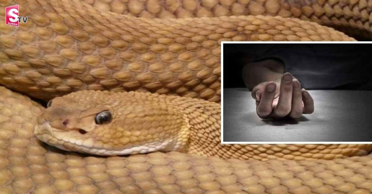 పాప చెప్పిన అబద్ధం.. ప్రాణం మీదికి!