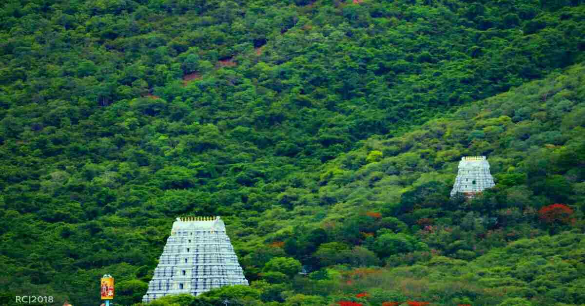 టీటీడీ సంచలన నిర్ణయం, 2వేల ఎకరాల్లో చెట్ల నరికివేత