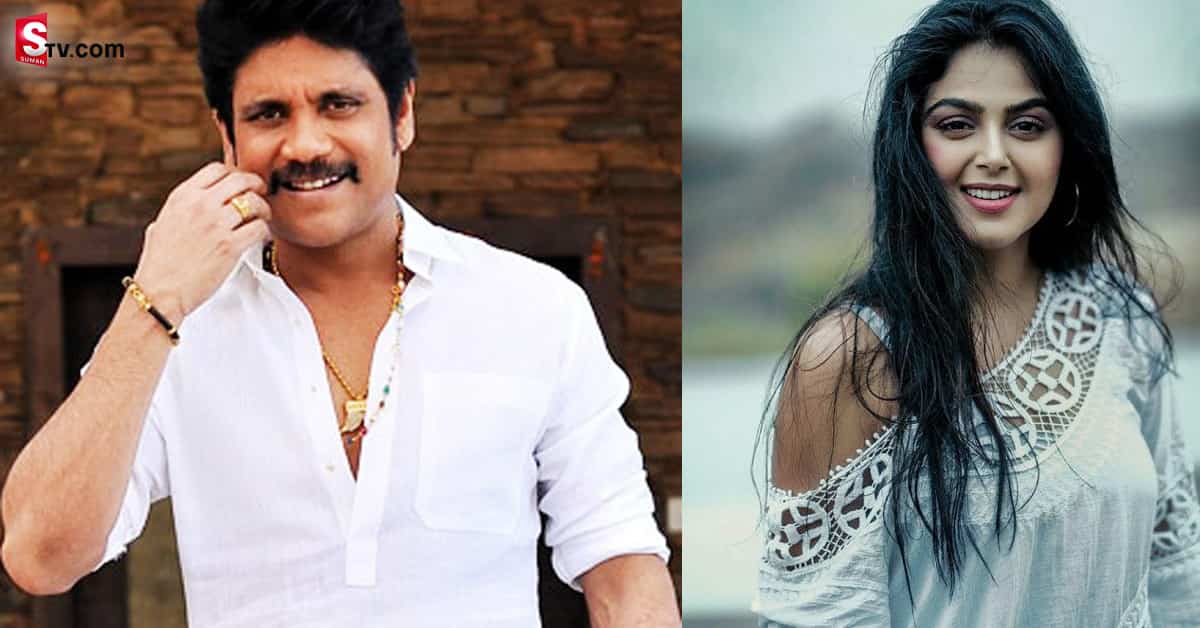 “బంగార్రాజు”తో స్టెప్పులేయనున్న మోనాల్..?