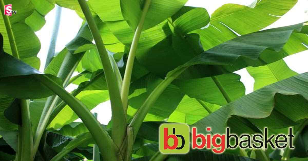అరటి ఆకుల అమ్మకం కూడా ఆన్ లైన్లోనే!.. ధర ఎంతో తెలుసా?!.