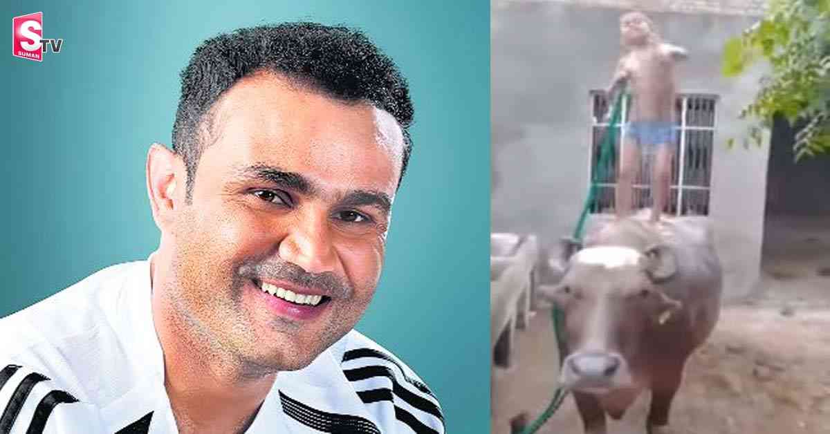 గేదె మీద స్నానం!..ఆ కిక్కే వేరు – వీరేంద్ర సెహ్వాగ్ వీడియో వైరల్ !!.