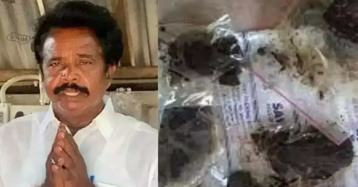 నెల్లూరు కరోనా మందు ఆనందయ్య రాజకీయ పార్టీ వచ్చేస్తోంది