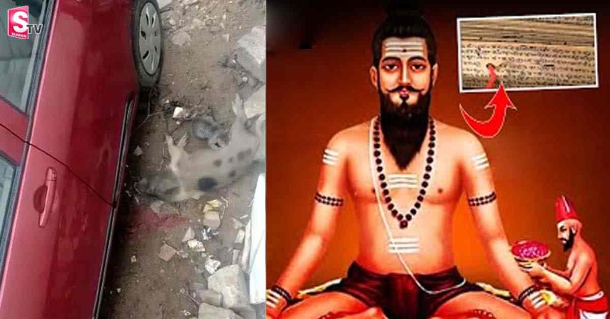 పంది పాలు తాగిన పిల్లి!.. మరోసారి నిజమైన బ్రహ్మం గారి కాలజ్ఞానం!?.