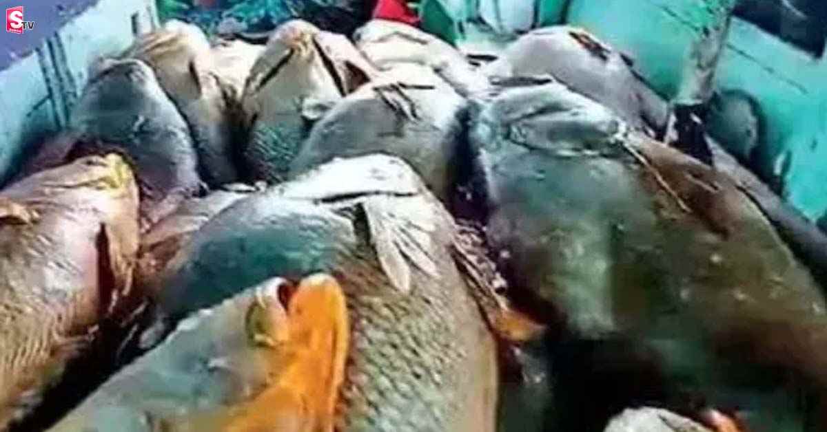 ఒక్కరోజు వేటతో కోటీశ్వరుడైన మత్స్యకారుడు!