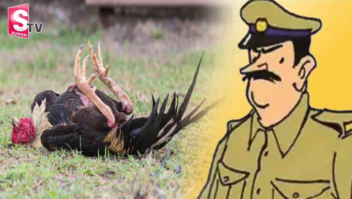 నా కోడిని చంపారు.. పోస్ట్ మార్టం చేయండి.. పోలీసులకు షాక్!