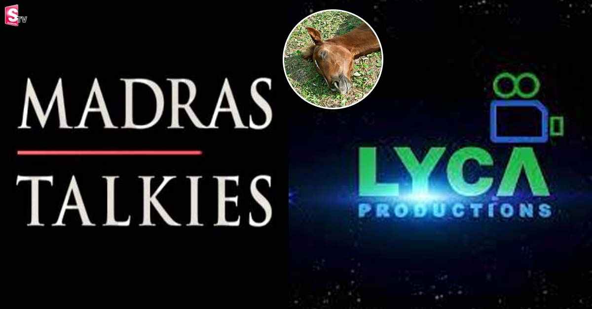 బిగ్ బ్రేకింగ్: దర్శకుడు మణిరత్నంపై కేసు నమోదు