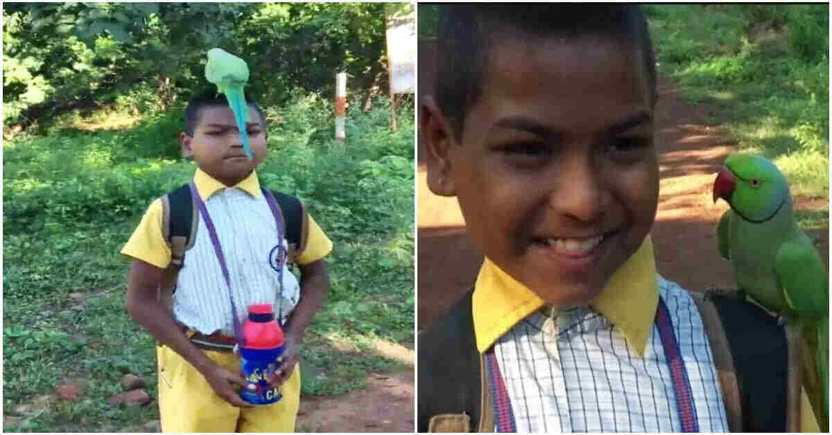 క్లాస్ రూంలోకి రామచిలుక, విధ్యార్ధులతో ఫ్రెండ్ షిప్