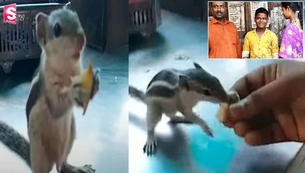 కుర్రాడితో ఉడుత ఆత్మీయ స్నేహబంధం.. వీడియో వైరల్