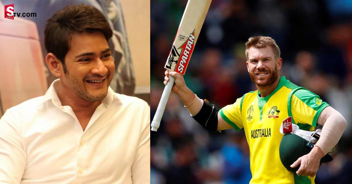 టీ20 వరల్డ్‌ కప్‌లో ఆస్ట్రేలియా విజయంపై స్పందించిన మహేష్‌బాబు