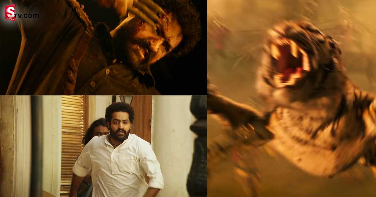 RRR పులి ఫైట్ లో భారీ ట్విస్ట్!  ఆ పులిని యన్టీఆర్ పెంచుకుంటాడా?