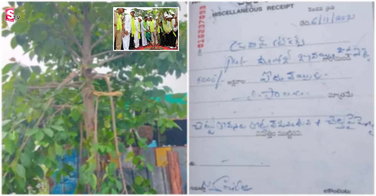 చెట్టు కొమ్మలు నరికినందుకు మున్సిపల్‌ కమిషనర్‌ జరిమానా