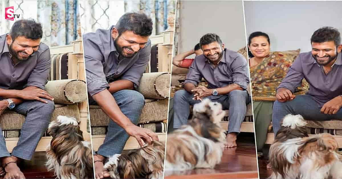 పునీత్ రాజ్ కుమార్ కోసం ఆయన పెంపుడు కుక్కలు చేసిన పని తెలిస్తే కన్నీరు ఆగవు