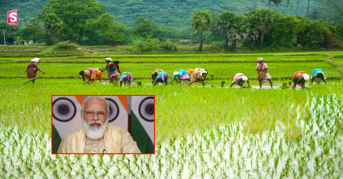పీఎం కిసాన్ 10వ విడత నిధుల విడుదలకు కేంద్రం గ్రీన్ సిగ్నల్