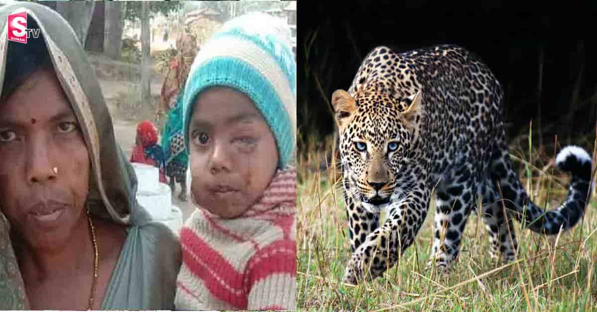 చిరుతని వెంబడించి బిడ్డను కాపాడుకున్న తల్లి! సినిమాల్లో కూడా చూడని సాహసం..