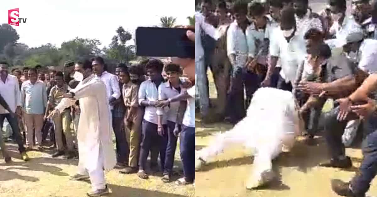 కబడ్డీ ఆడుతూ పడిపోయిన ఏపీ స్పీకర్ తమ్మినేని సీతారాం