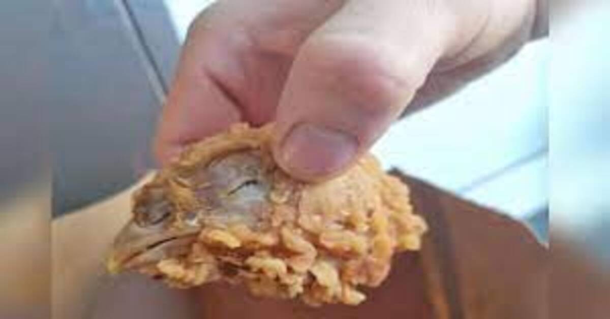 కోడి తలకాయతో వేడి వేడిగా kFC చికెన్