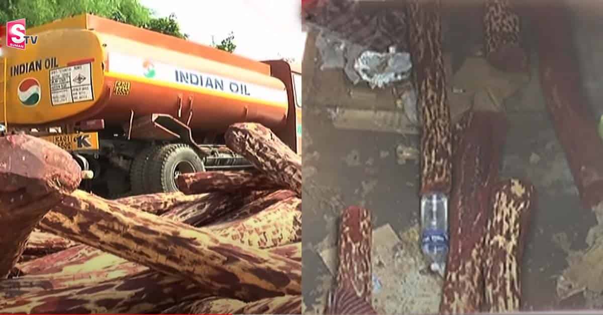 పుష్ప సినిమాలోని ఎర్ర చందనం స్మగ్లింగ్ సీన్స్ నిజ జీవితంలో!