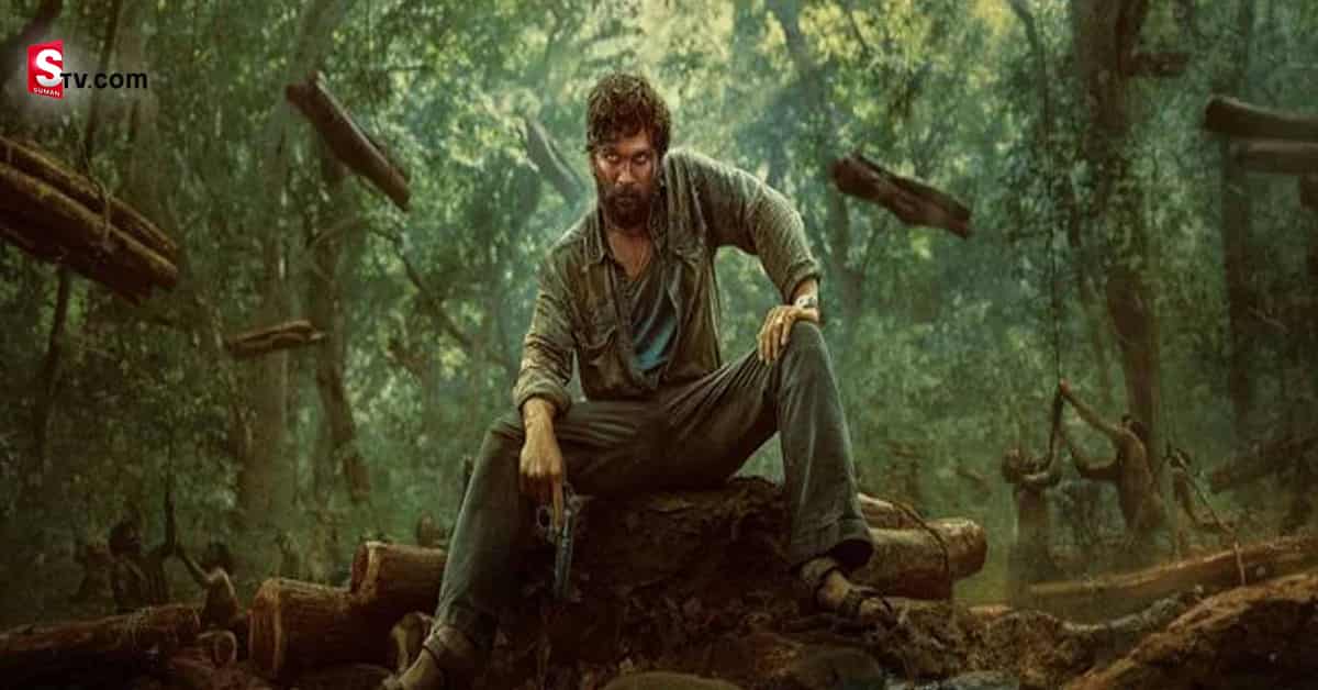 రైజ్ అవుతున్న పుష్పరాజ్ కలెక్షన్స్ సాగా..!