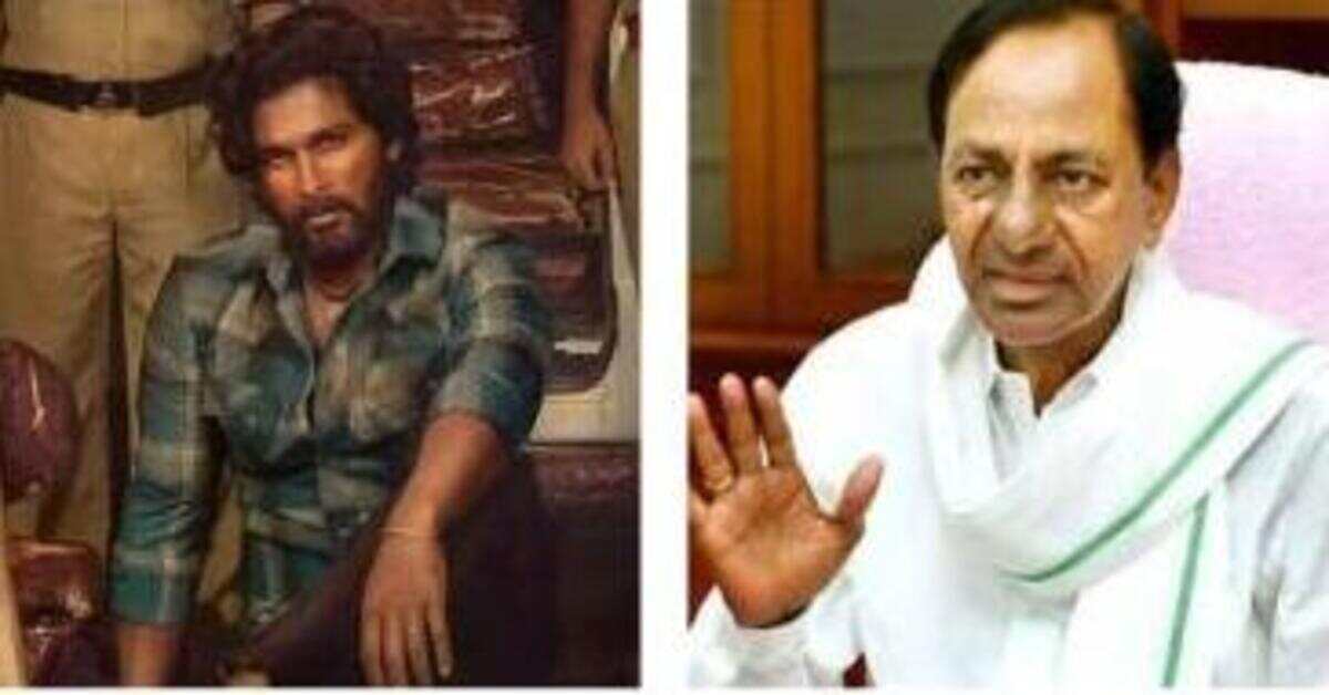 పుష్ప సినిమాకు బంపర్ ఆఫర్ ఇచ్చిన తెలంగాణ ప్రభుత్వం