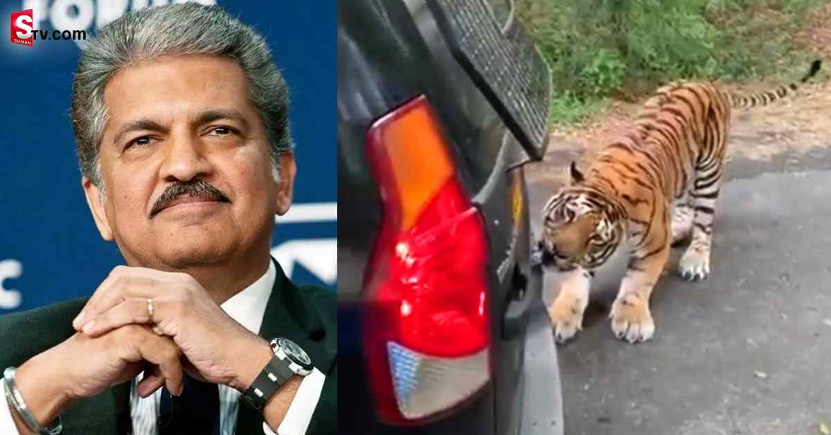 ‘ఏం పేస్ట్‌ వాడుతున్నావ్‌’.. వైరలవుతోన్న ఆనంద్‌ మహీంద్రా ట్వీట్‌