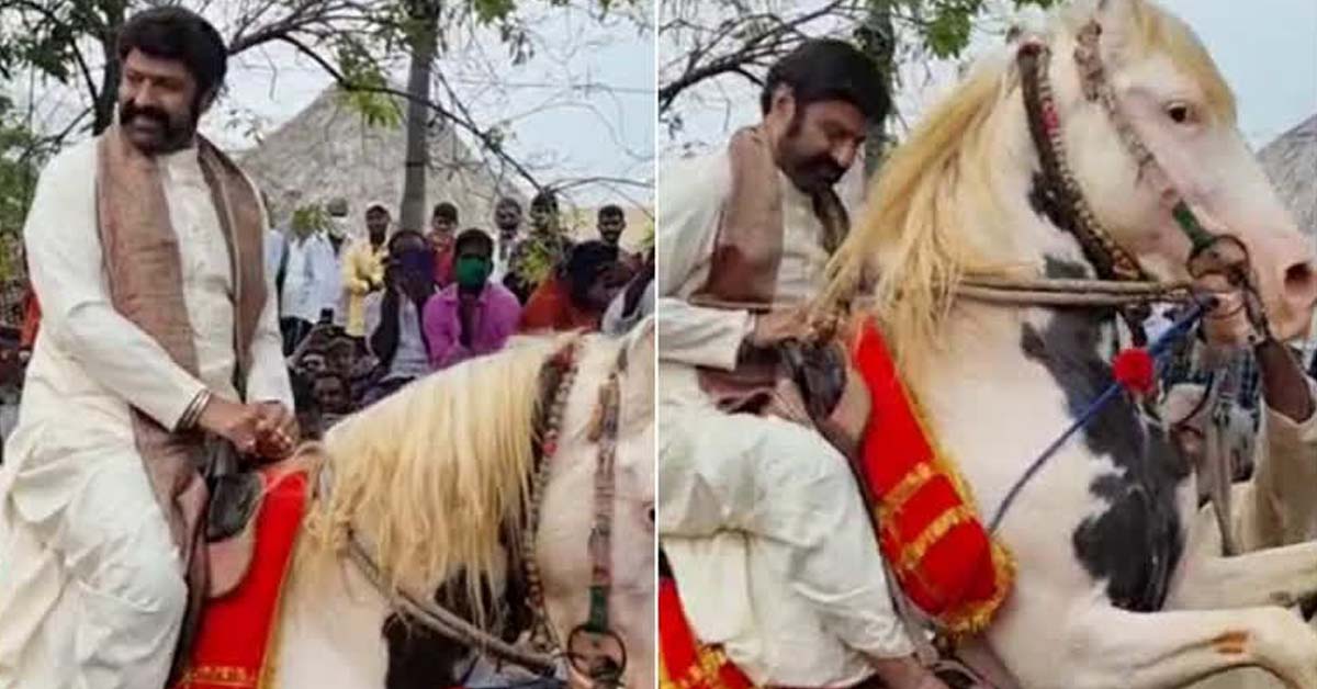గుర్రమెక్కిన బాలయ్య.. డాన్స్‌ చేసిన గుర్రం! చూసేందుకు ఎగబడ్డ జనం
