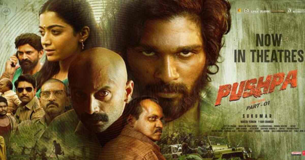 పుష్ప హిందీ వెర్షన్ నిర్మాతకు కాసుల వర్షం కురిపించింది