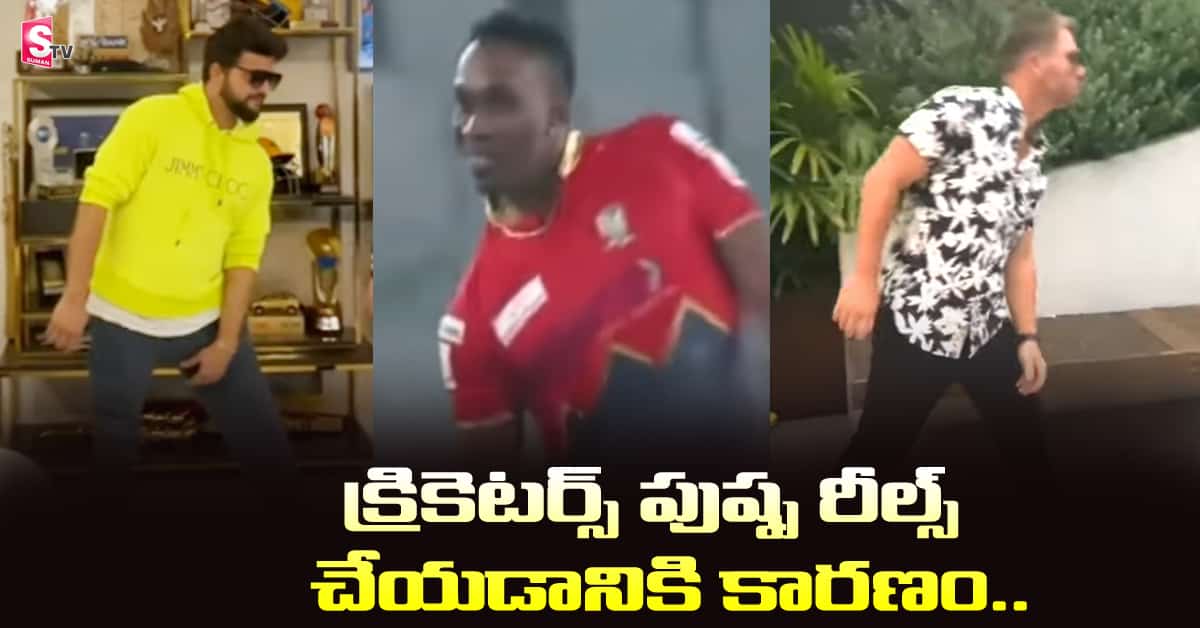 సోషల్ మీడియాలో పుష్పకి ఎందుకు ఇంత క్రేజ్?