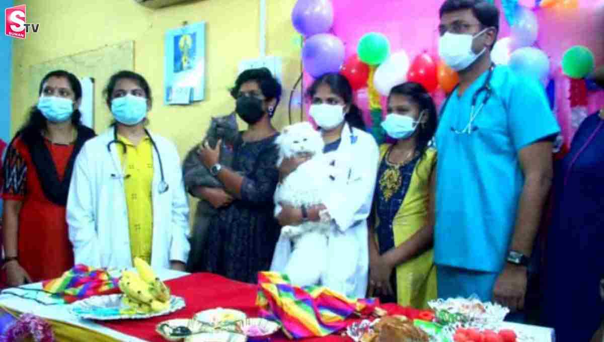 పెంపుడు పిల్లులకు సీమంతం.. ఫోటోలు వైరల్