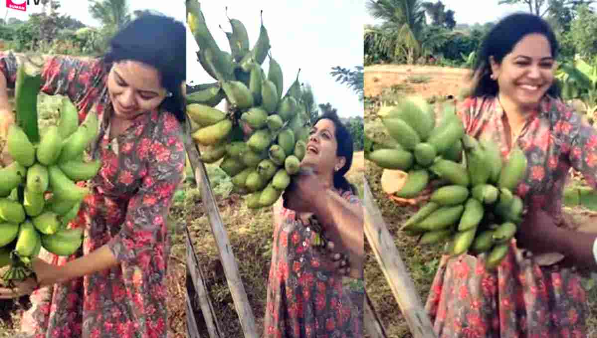 వ్యవసాయం చేస్తున్న సింగర్ సునీత! వీడియో వైరల్