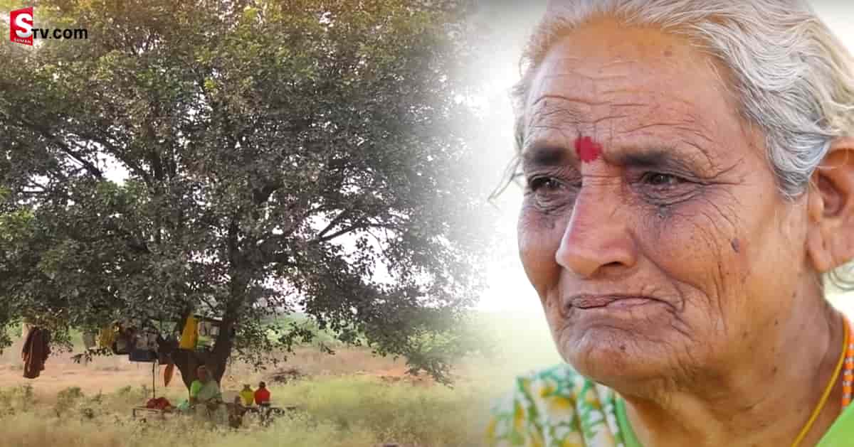 15 ఏళ్లుగా చెట్టు కిందే కాపురం.. అవ్వ కథ తెలిస్తే కన్నీళ్లు ఆగవు..