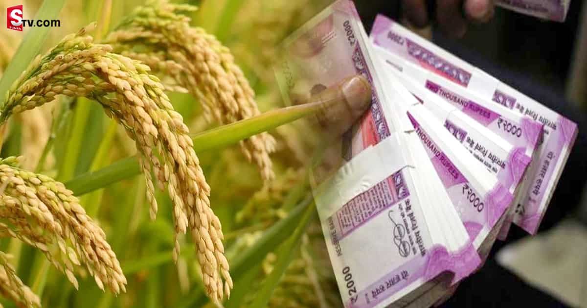 జూనియర్ యన్టీఆర్ సినిమా సీన్ రిపీట్! పాపం రైతు డబ్బంతా..!