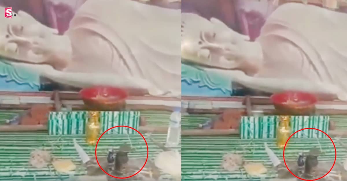 అద్భుతం! సముద్రం నుండి ఒడ్డుకి కొట్టుకొచ్చిన శివలింగం!